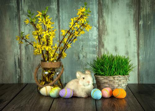 Ismerd meg a húsvéti nyúl történetét! Húsvét 2021, húsvét 2022